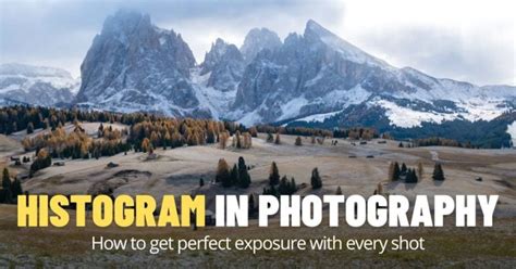 Image result for Histogram Photography Good Example