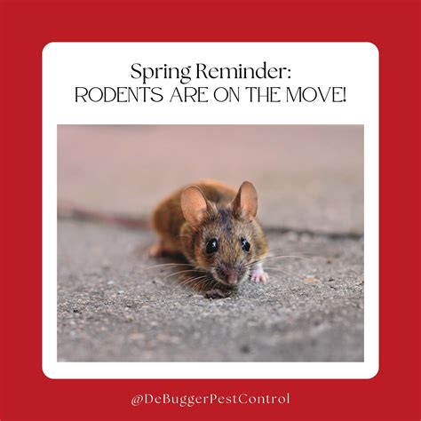 Toradh íomhá ar Debugger Pest Control