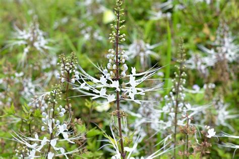 Toradh íomhá ar Un Code Java Bien Fait