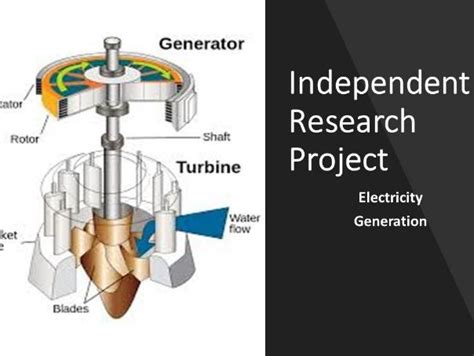 Image result for Independent Research Project Examples Free