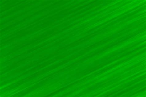 Image result for Python Green Colour Background