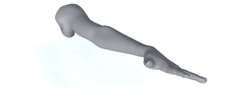 Image result for Left Arm Model