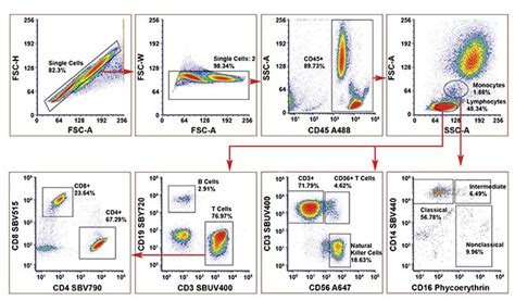 Image result for Compensation Panel Flow Cytometry