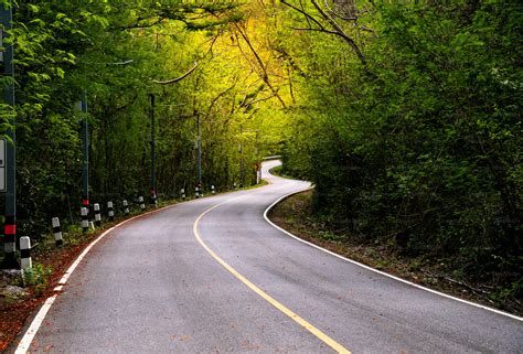 Image result for This Way Sign Straight