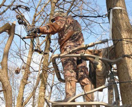 Image result for What Is Let Off in a Compound Bow