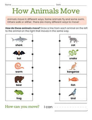 Image result for How Animals Move Worksheet
