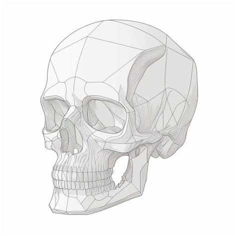 Afbeeldingsresultaten voor Alien Skull Drawing Reference