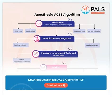 ACLS Asystole Algorithm に対する画像結果