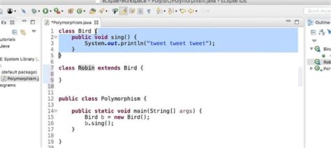 Image result for Static Polymorphism Example