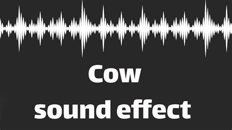 Image result for Wireless Remote Control Cow Sound