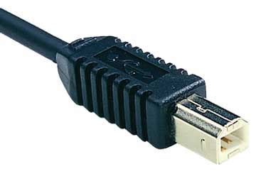 Image result for USB Type B Monitor Connection
