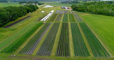 Image result for Simple Seed Farms