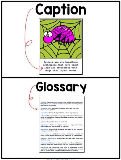 Image result for All Types of Text Features