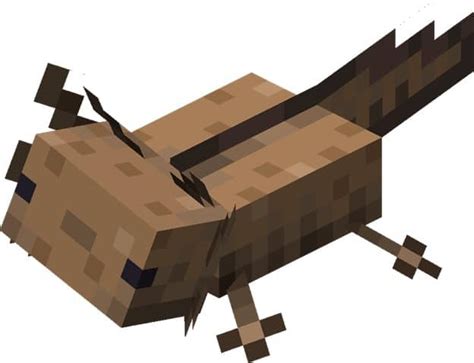 Afbeeldingsresultaten voor Rarest Axolotl Minecraft