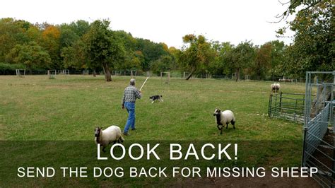 Roll Back Command On Command Prompt に対する画像結果