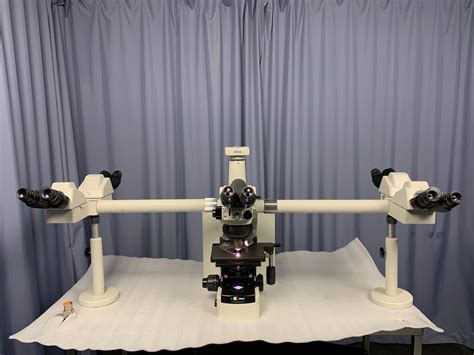 Teaching Microscope に対する画像結果