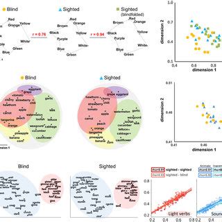 Image result for Visual Coding for Human Behavior