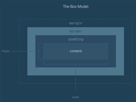 Image result for CSS Box Model Exercises