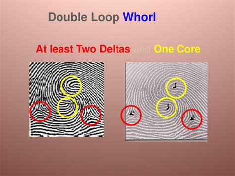 Image result for Double Loop Pattern Drawing