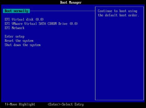 Toradh íomhá ar 10ZiG EFI Shell