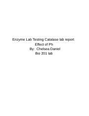 Image result for Catalase Test Lab Report