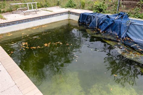 Afbeeldingsresultaten voor How to Clean a Dirty Above Ground Pool