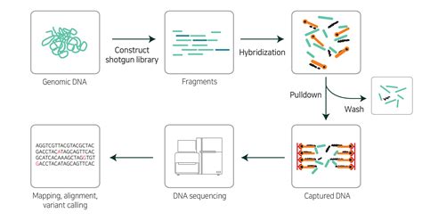Sequencing Workflow-এর ছবি ফলাফল