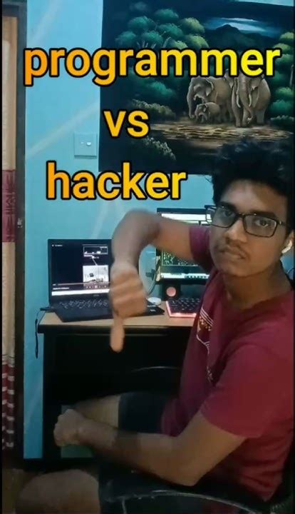 Toradh íomhá ar Programmer vs Hacker