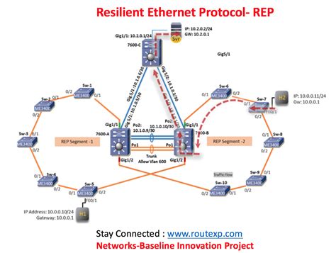 How Does Rep Ring in Network Works に対する画像結果