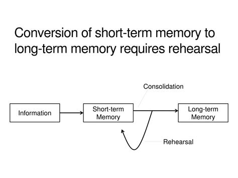 Image result for Short-Term Memory Converted to Long-Term Memory
