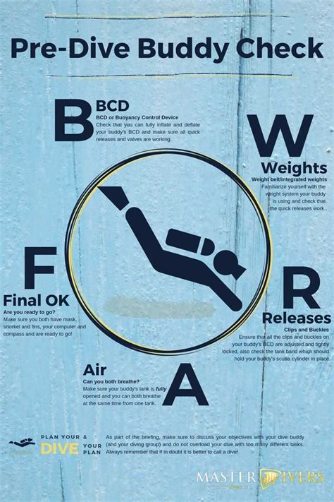 Image result for Developer Buddy Check