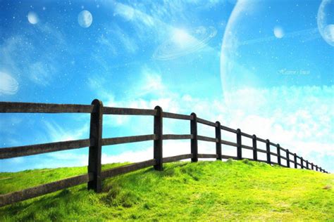 Image result for Wallpaper Split Task