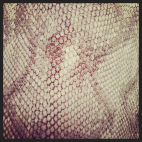 Image result for Draw Mango in Python