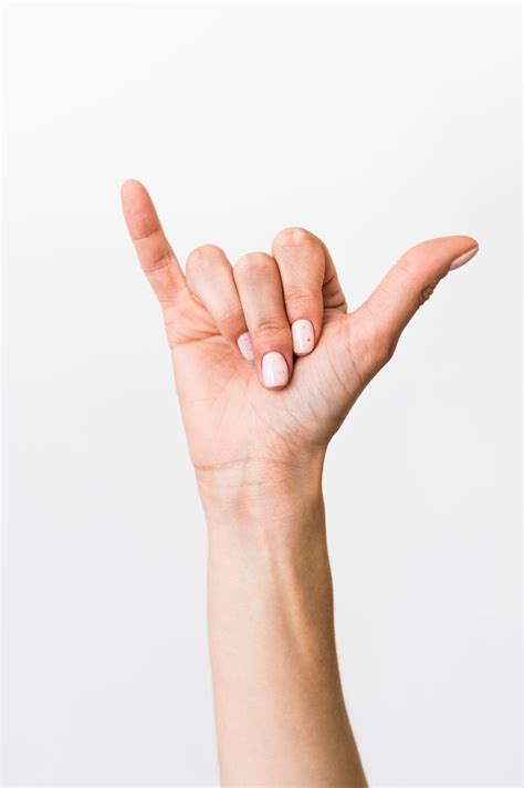 Sign Language Word に対する画像結果