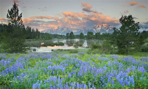 Toradh íomhá ar Scene Builder Bar Chart Guild JavaFX