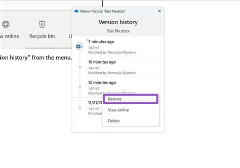 Image result for One Version of a File