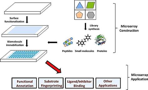 Microarray Simple Diagram に対する画像結果
