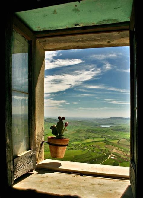 Image result for View Outside Window