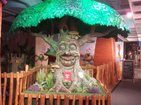 Smug Tree Frog に対する画像結果