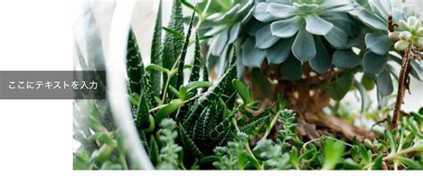 HTML How to Make Text Appear Next to Image に対する画像結果