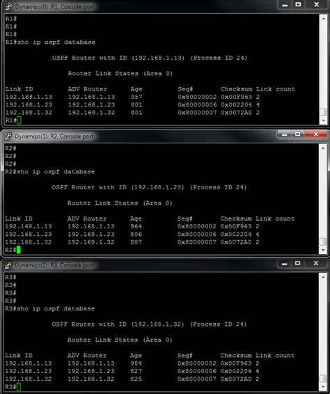 Show IP Ospf Interface Command に対する画像結果