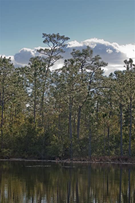 Image result for Jordan Arable Land