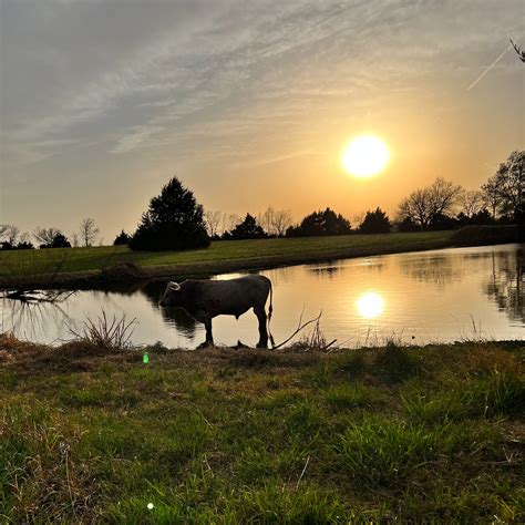 Image result for Gaith Family Farm