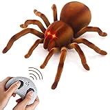 Small Remote Control Spider に対する画像結果