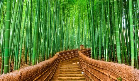 Science Games KS3 に対する画像結果