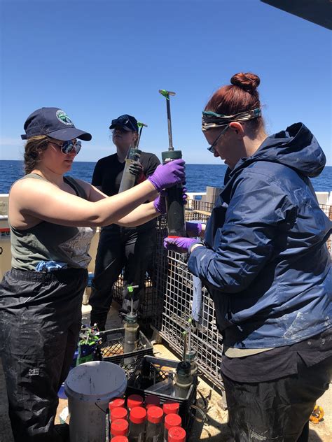 Image result for Deep Ocean Map Java