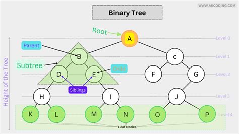 Balanced Tree Data Structure に対する画像結果