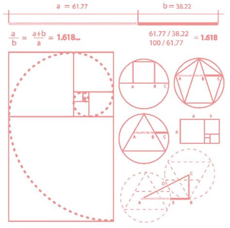 Image result for Easy Fibonacci Sequence Patterns
