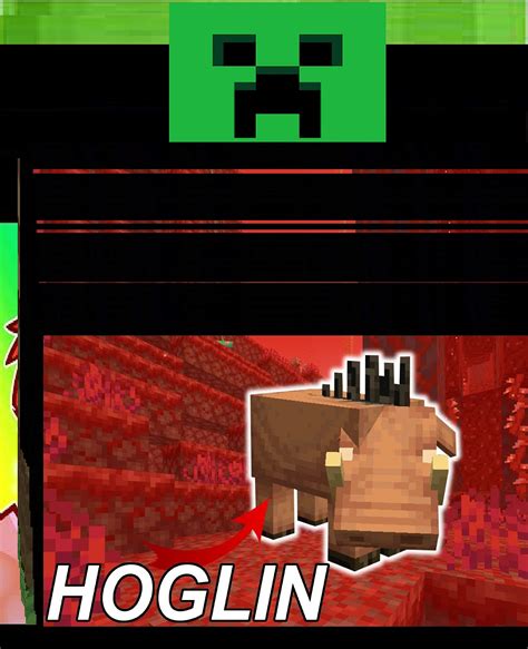 Image result for How to Tame Hoglin in Minecraft