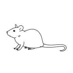 Lab Mouse Dead Drawing に対する画像結果